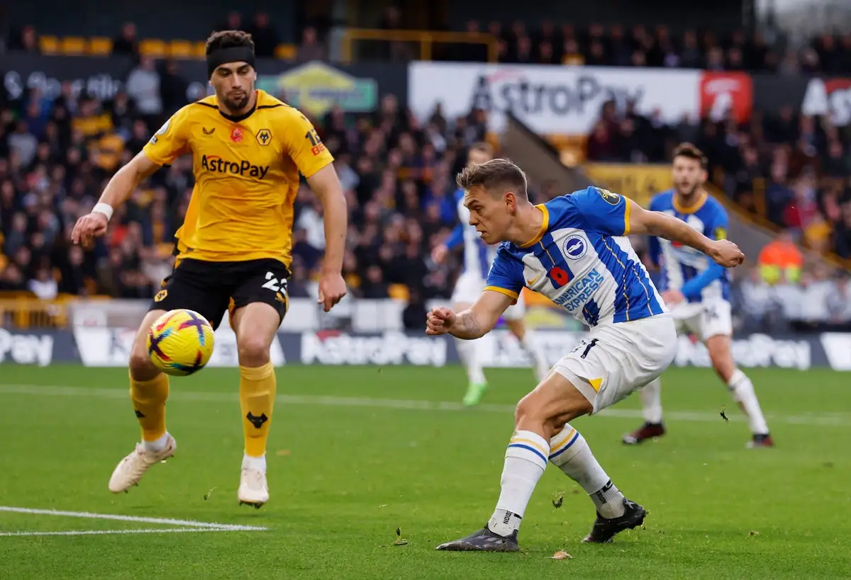 Soi kèo bóng đá Brighton vs Wolves: Phân tích chuyên sâu từ Kubet Kubet77